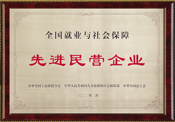 全国就业与社会保障先进民营企业